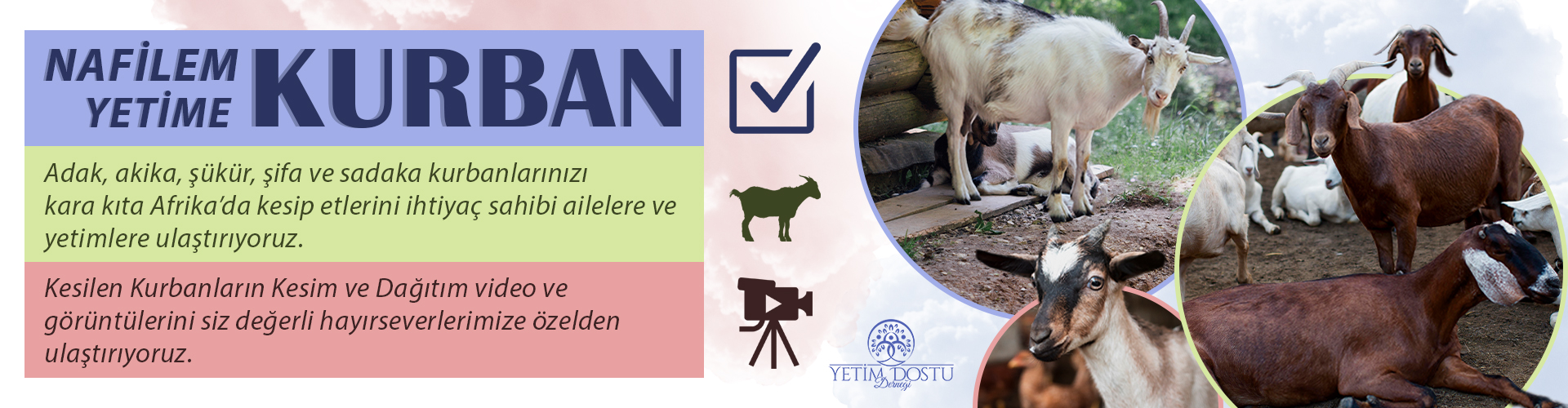 Adak-Akika-Şükür / Kurban